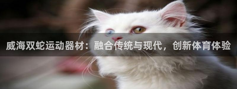 意昂体育4平台：威海双蛇运动器材：融合传统与现代，创新体育体