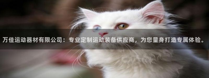 意昂体育4平台注册流程视频：万佳运动器材有限公司：专业定制运