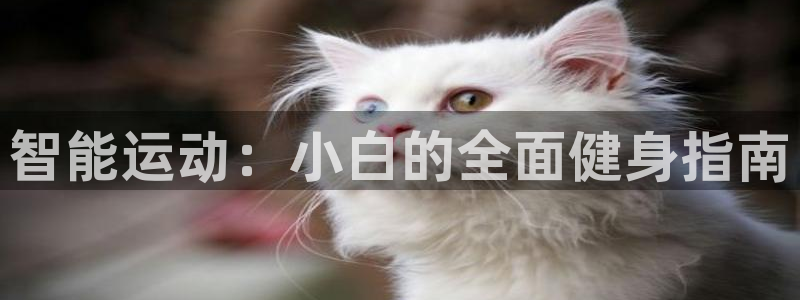 意昂4新能源：智能运动：小白的全面健身指南