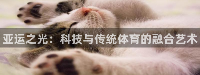 意昂4集团E.ON：亚运之光：科技与传统体育的融合艺术