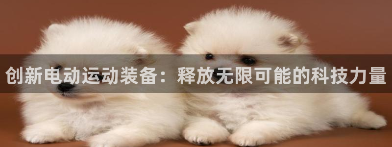 意昂4科技：创新电动运动装备：释放无限可能的科技力量