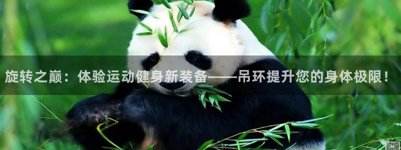 意昂4娱乐平台：旋转之巅：体验运动健身新装备——吊环