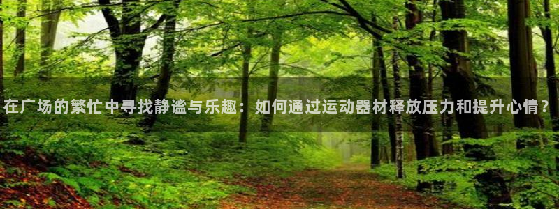 海南意昂体育4发展怎么样：在广场的繁忙中寻找静谧与乐趣：如何