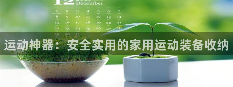 意昂体育4平台注册流程图：运动神器：安全实用的家用运动装备收