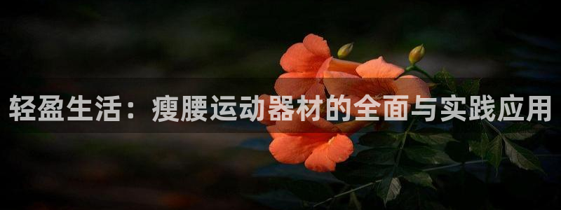 意昂体育4开户：轻盈生活：瘦腰运动器材的全面与实践应用