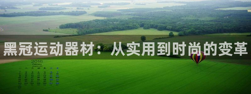 意昂4娱乐网站：黑冠运动器材：从实用到时尚的变革