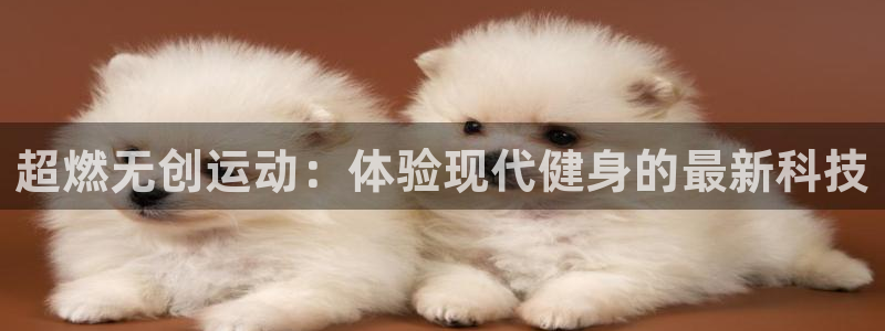 意昂体育4平台注册流程视频：超燃无创运动：体验现代健身的最新