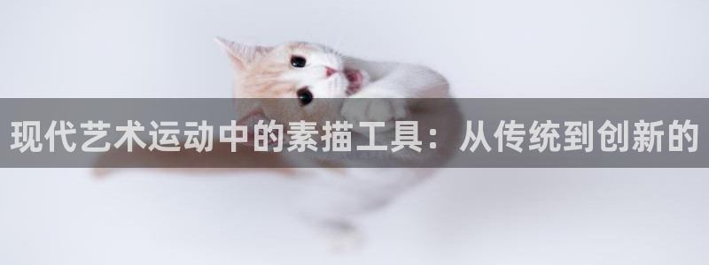 意昂4新能源：现代艺术运动中的素描工具：从传统到创新