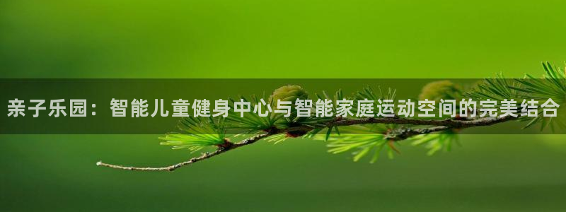 意昂4集团官网网址：亲子乐园：智能儿童健身中心与智能