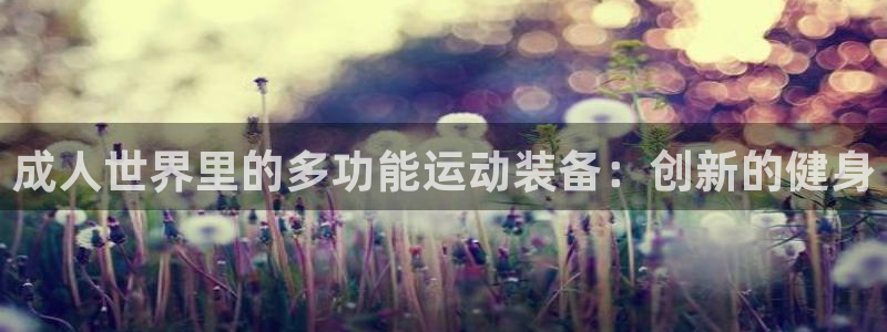 意昂4集团官网首页：成人世界里的多功能运动装备：创新的健身