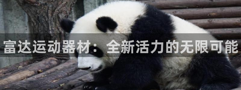 意昂体育4软件：富达运动器材：全新活力的无限可能