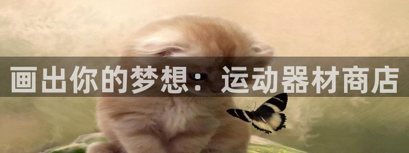 意昂体育4招商电话号码查询：画出你的梦想：运动器材商店