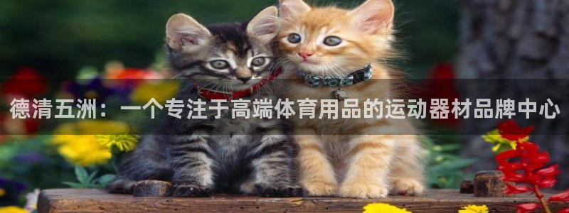 海南意昂体育4发展怎么样：德清五洲：一个专注于高端体育用品的